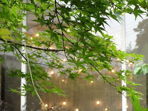 Hotel Merveille Arima Kobe